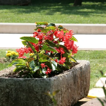 Apartmán Maria Poreč