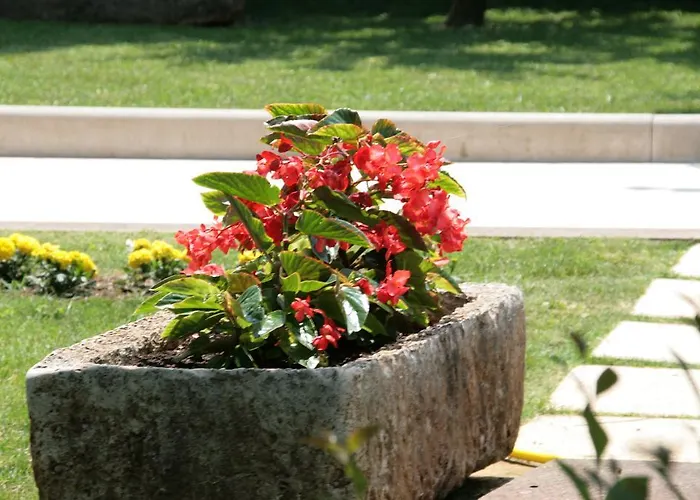 Apartamento Maria Poreč